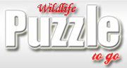Puzzle_to_Go_Wildlife box