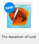 The_Aquarium_of_Luck box