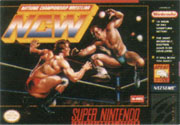 Natsume_Championship_Wrestling box