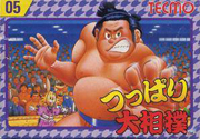 Tsuppari_Ozumo box